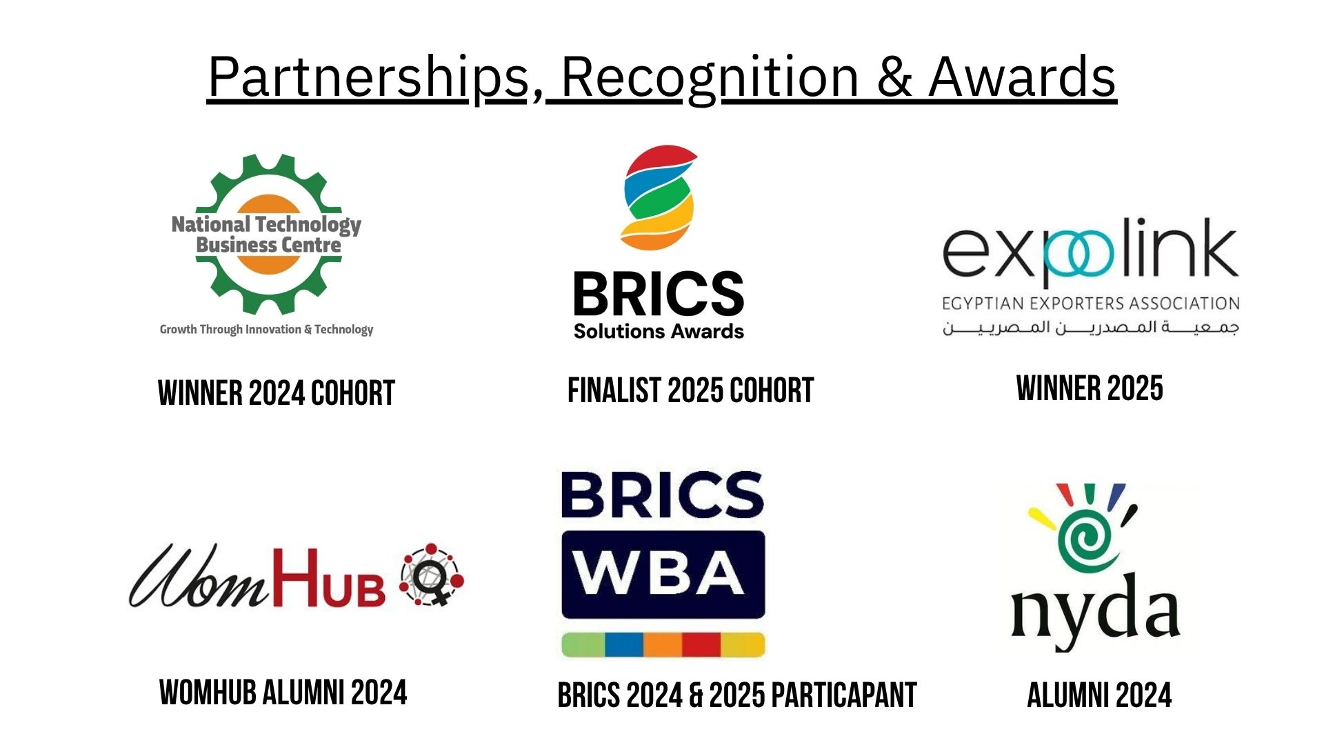 Sirius Minerals Holdings Logo